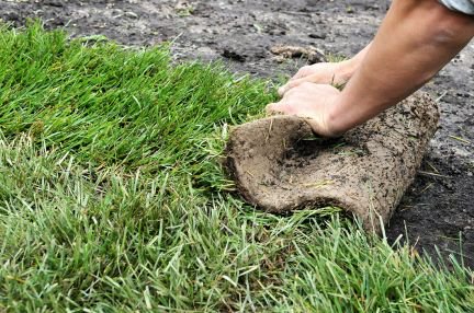 цветной щебень для ландшафтного дизайна. трава газонная канадский грин семена. датские семена газонной травы. газон симферополь. упаковка dlf lawn.