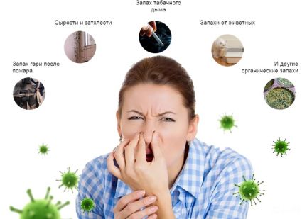 владимир:  Услуги по удалению любых насекомых, запахов и дезинфекция