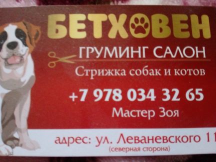 Груминг салон Бетховен