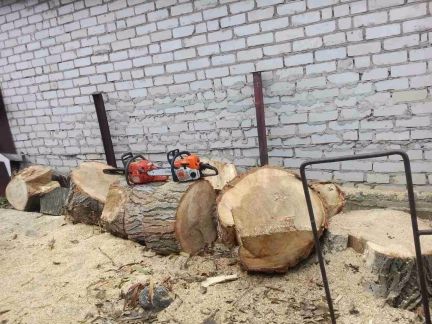 Владислав:  Спил деревьев, уборка территорий