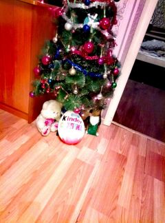 топиарные фигуры в шелехове. волонтеры. новогодние мастер классы на улице. арт объекты осетии. подарки шелехов.