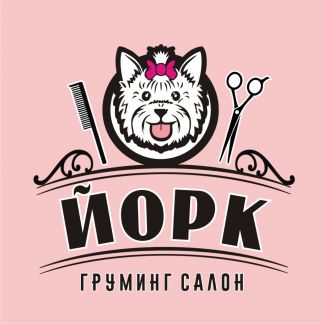 Маленькие породы собак в костроме