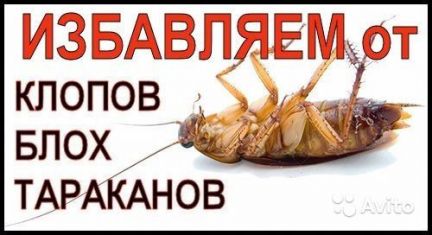 Максим:  Обработка от тараканов,клопов,блох и др.вредителей