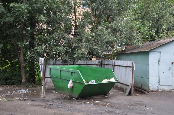 Роман:  Вывозим мусор из Протвино