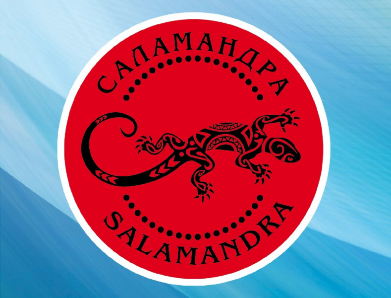 Камила:  Юридическое агенство «Саламандра»