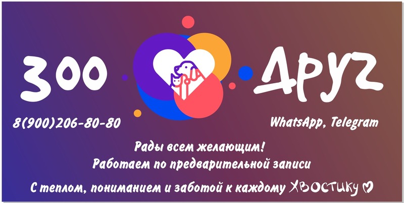 Услуги Грумера, Ветфельдшера, Зоопсихолога