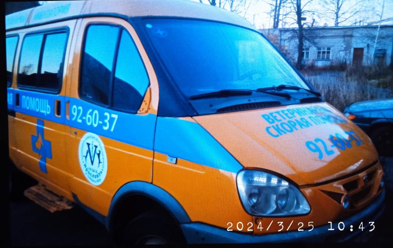 Горветклиника:  Скорая ветеринарная помощь в Ярославле