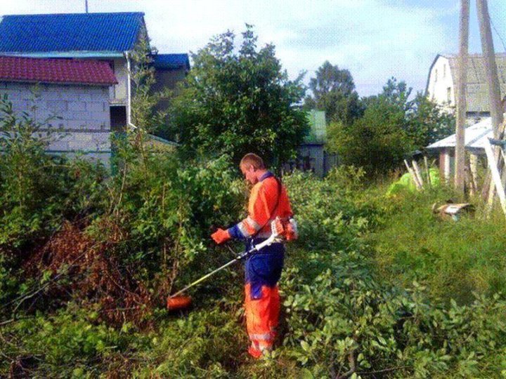 Уборка территории, участка. Покос травы. Спил. Вывоз