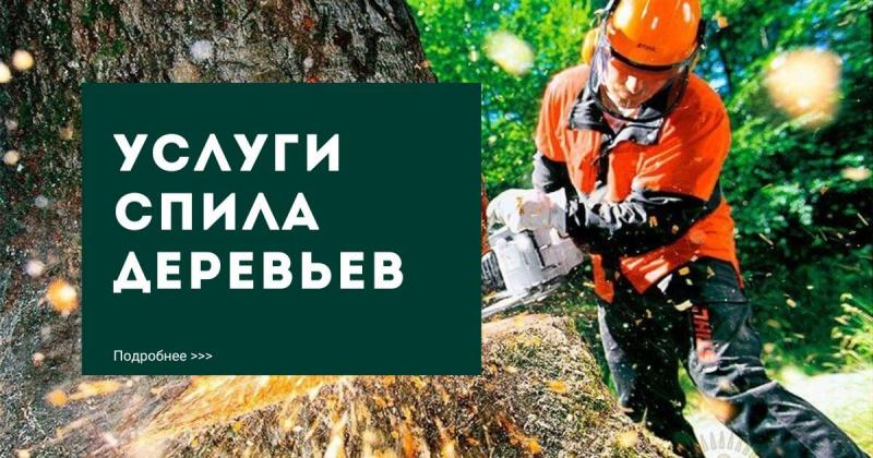 Спил деревьев / Расчистка участка