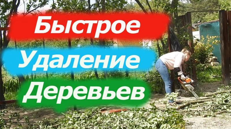 Расчистка участка
