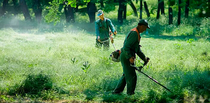 Юлия:  Покос травы на частных участках от 6-50 соток 