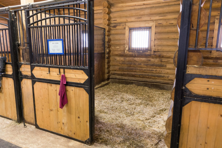 вадим:  Предоставляет услуги постоя и тренинга лошадей