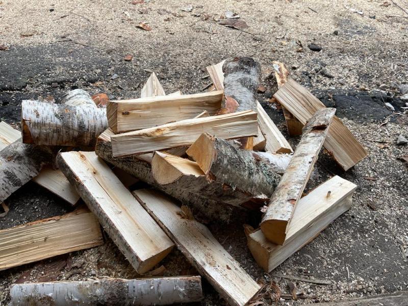 Дмитрий:  Доставка дров по МО.