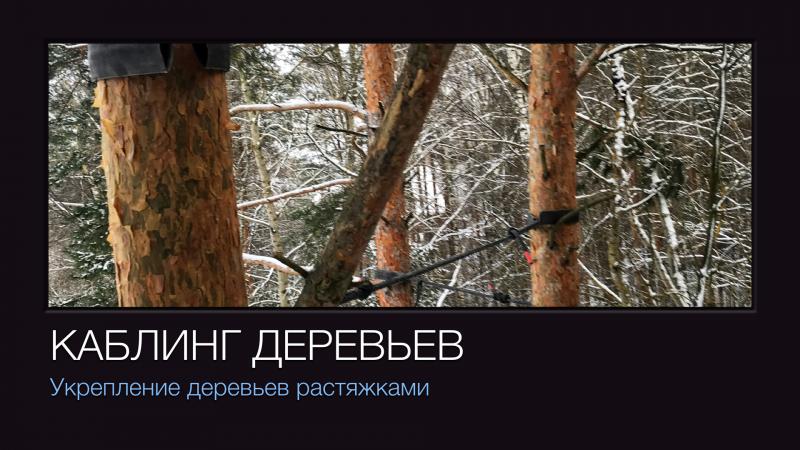 Обрезка Деревьев:  Измельчитель дробилка веток в аренду в Домодедово