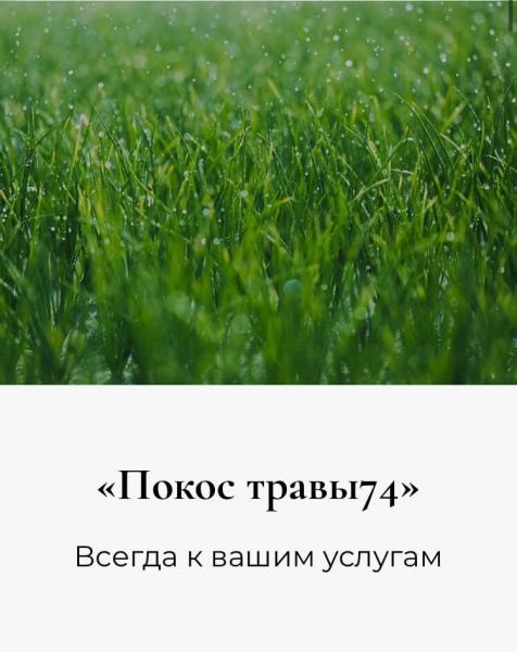 Михаил:  Покос травы триммером в Челябинске цена качество