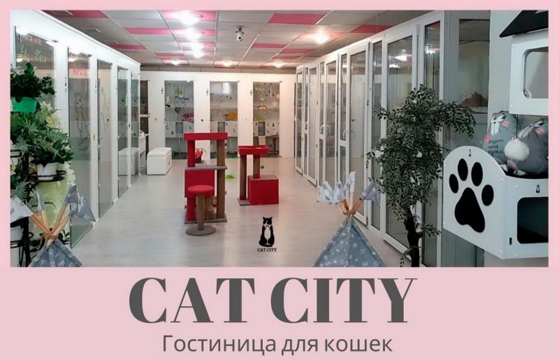 Елена:  Гостиница для кошек САТ CITY
