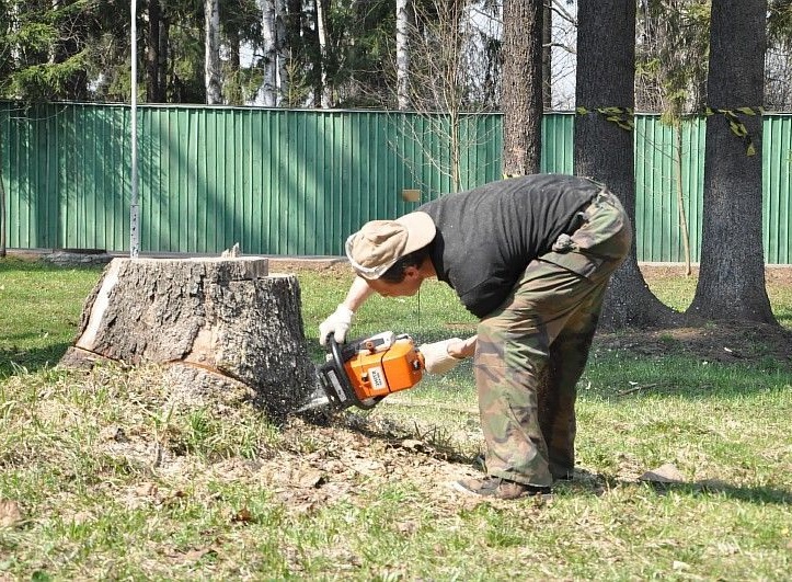 Дмитрий:  Спил деревьев Обрезка веток