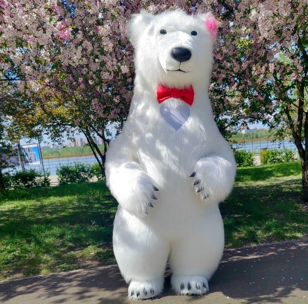 Мишка Белый