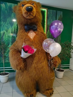 Мишка Бурый на Праздник