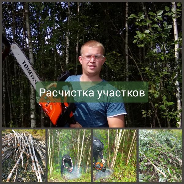 Олег:  Расчистка участка от деревьев