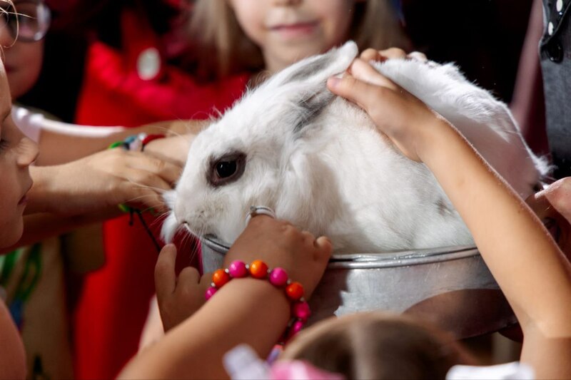 Фокусник - Иллюзионист Омск 