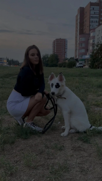 Юля: Дрессировка собак 