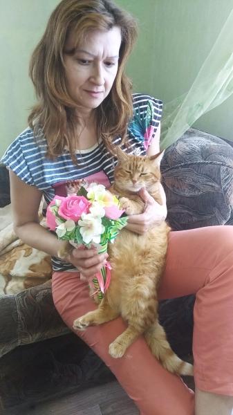   Домашняя передержка кошек.