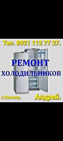 Андрей:  Ремонт бытовых холодильников.