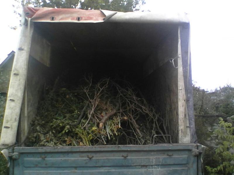 Дмитрий Васильевич:  Вывоз мусора/хлама.Утилизация старой мебели