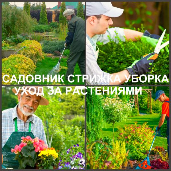 Ландшафтный дизайн Воронеж / Сад, благоустройство / Услуги Воронеж. Цены. Uslugio.com - объявления о услугах