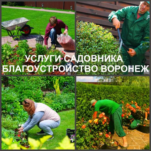 Ландшафтный дизайн Воронеж / Сад, благоустройство / Услуги Воронеж. Цены. Uslugio.com - объявления о услугах