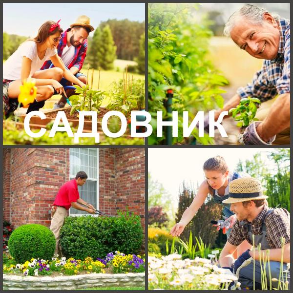 Ландшафтный дизайн Воронеж / Сад, благоустройство / Услуги Воронеж. Цены. Uslugio.com - объявления о услугах