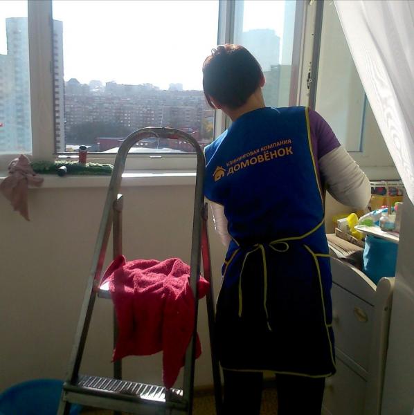 Домовёнок:  Мойка окон в квартире (мытье окон, помыть окна)