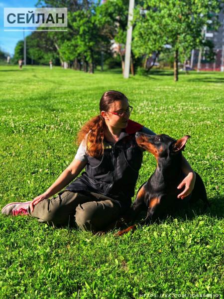 Евгения Петраш: Индивидуальная дрессировка собак/Коррекция поведения