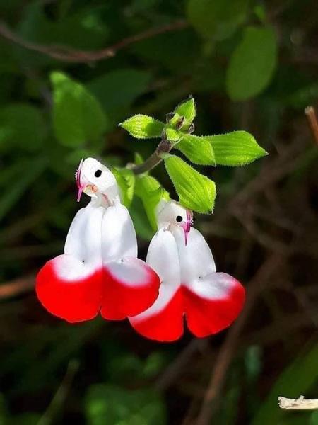 Круглосуточная помощь сиделки для пожилых