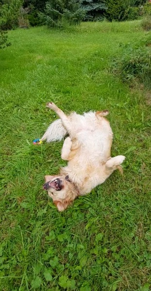 На прогулке