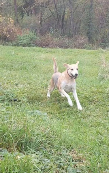 На прогулке