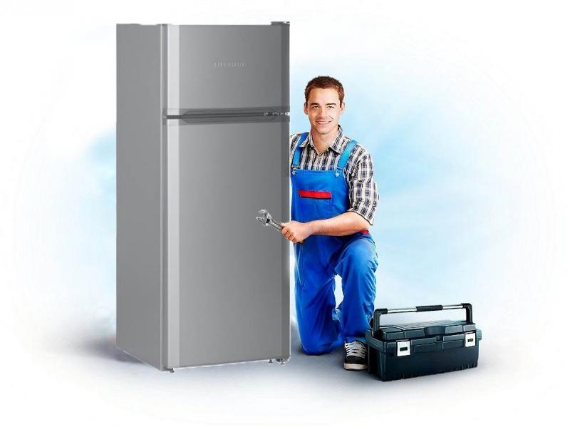 Дмитрий:  Ремонт холодильников частный мастер