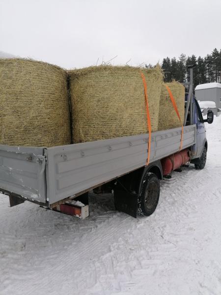 Заказать Газель «Катюша» в Санкт-Петербурге