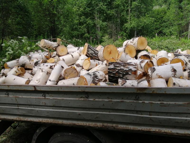 Сергей:  продам дрова березовые