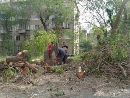 Александр: Спил деревьев, обрезка веток Вывоз 24 часа