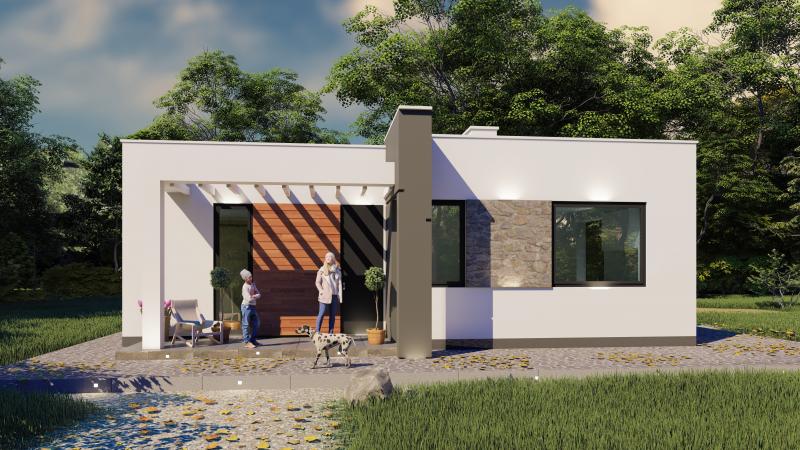Ольга:  Проект одноэтажного жилого дома 