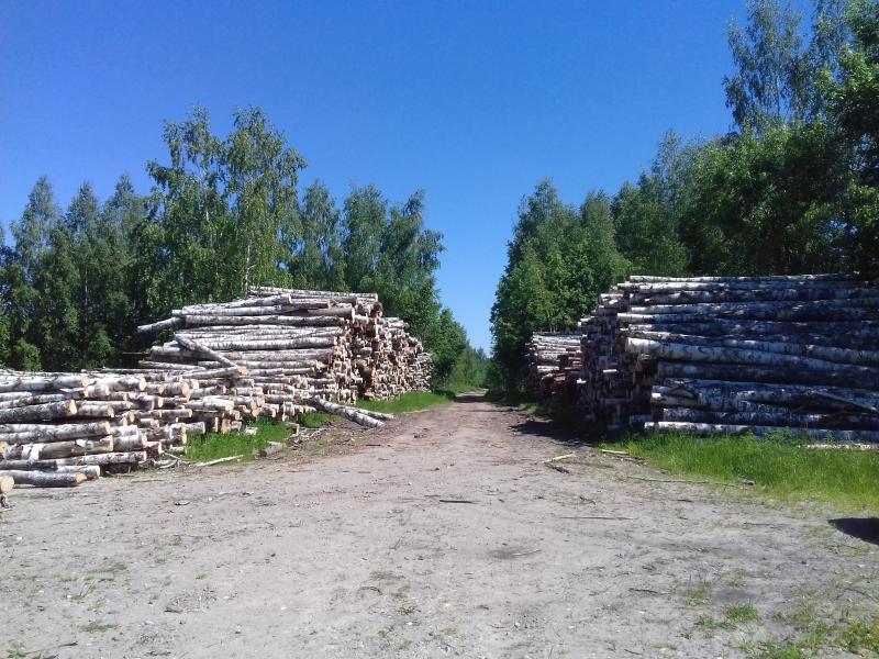 Александр:  Продам березовые дрова