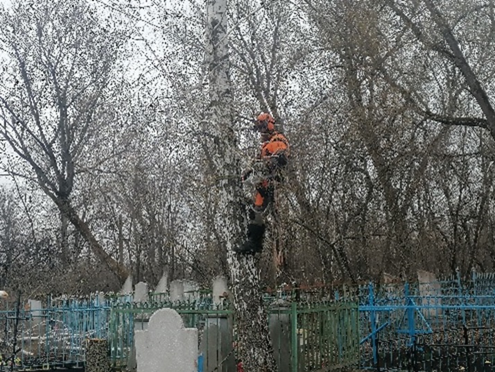 Александр:  Спил деревьев, благоустройство мест захоронений на кладбище