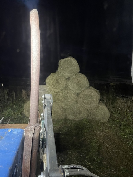 Сено в рулонах