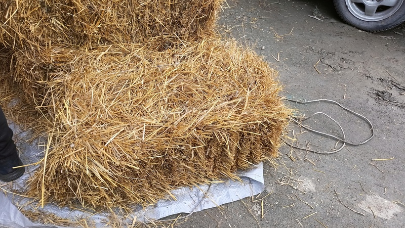 Сено в брикетах в Екатеринбурге