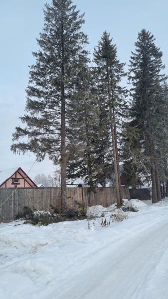 Виталий:  Спил деревьев  Екатеринбург,свердловская область 