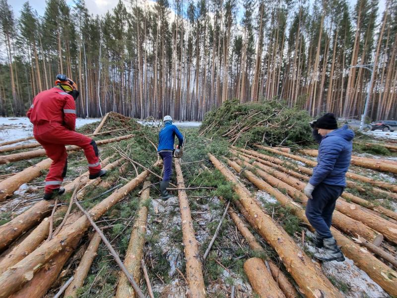 Виталий:  Спил деревьев  Екатеринбург,свердловская область 