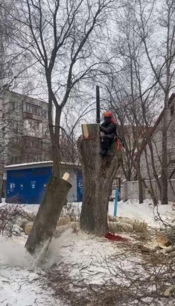 Сергей:  Спил деревьев в Выксе и Выксунском районе