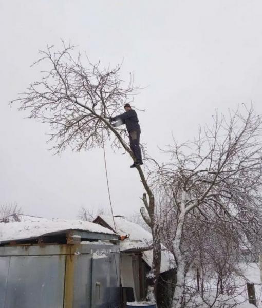 Сергей:  Спил деревьев в Кулебаках и Кулебакском районе